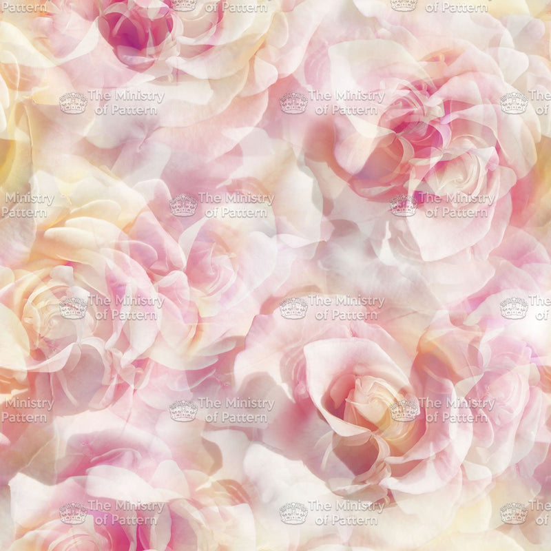 Photographic Rose Floral
