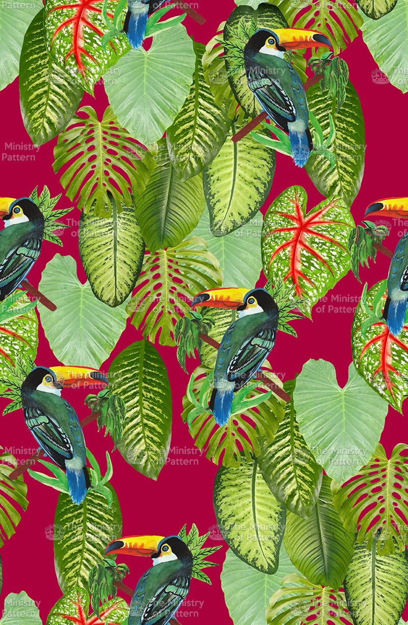 Toucan Tropical Bird Leaf Conversational