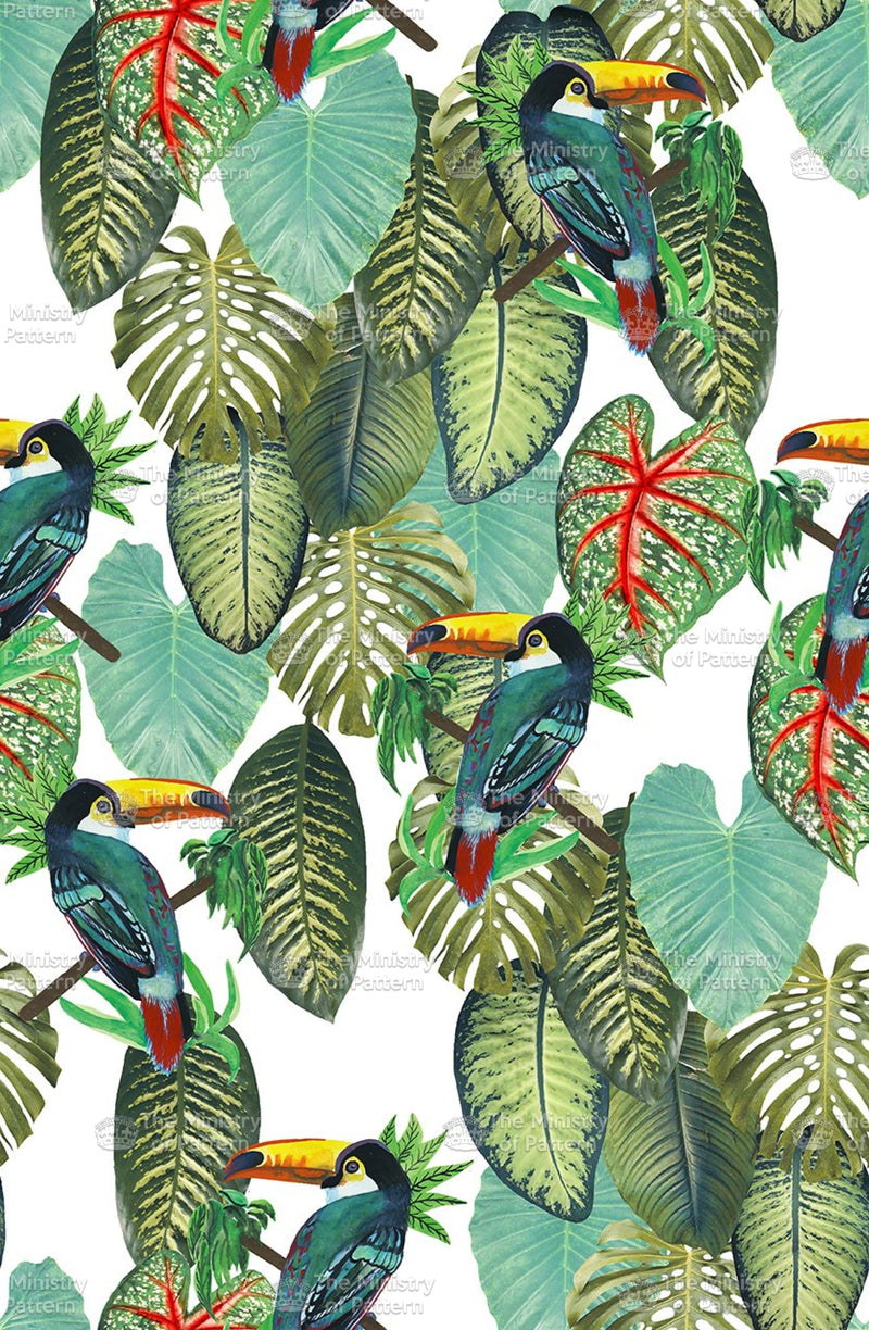 Toucan Tropical Bird Leaf Conversational