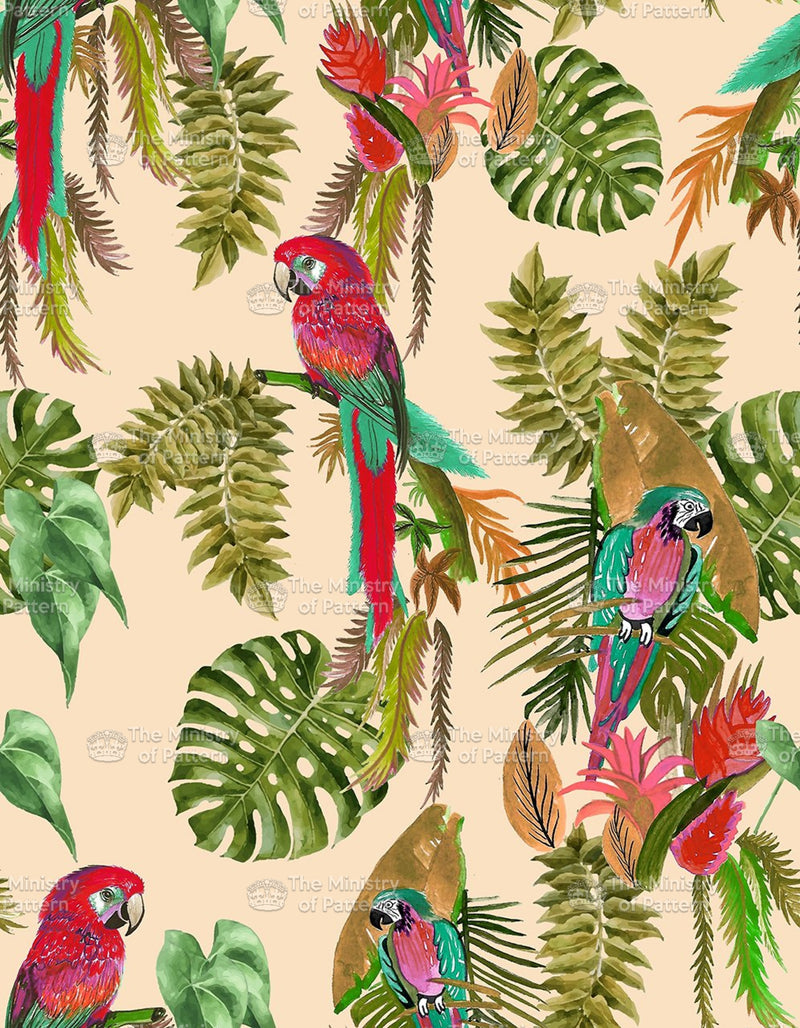 Tropical Leaf Parrot Conversational