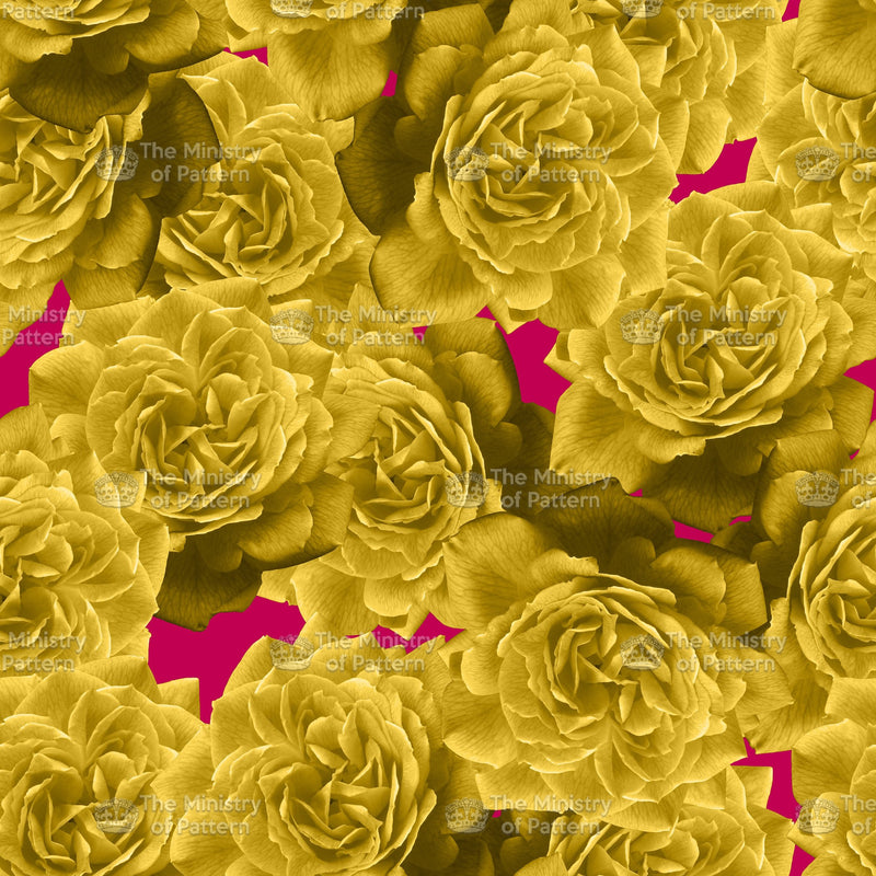 Abstract Rose Bloom