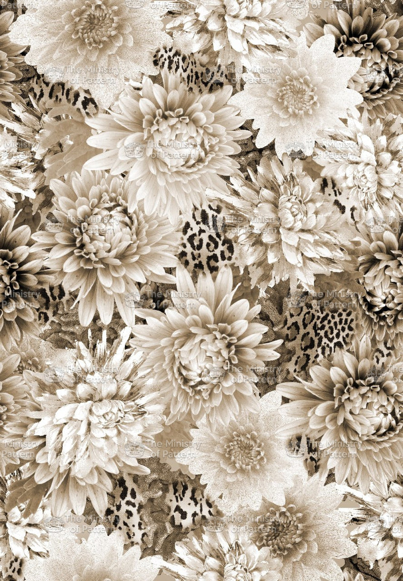 Photographic Dahlia - Abstract Floral