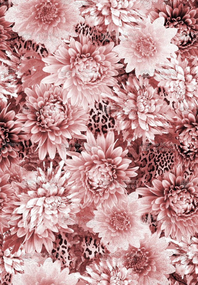 Photographic Dahlia - Abstract Floral