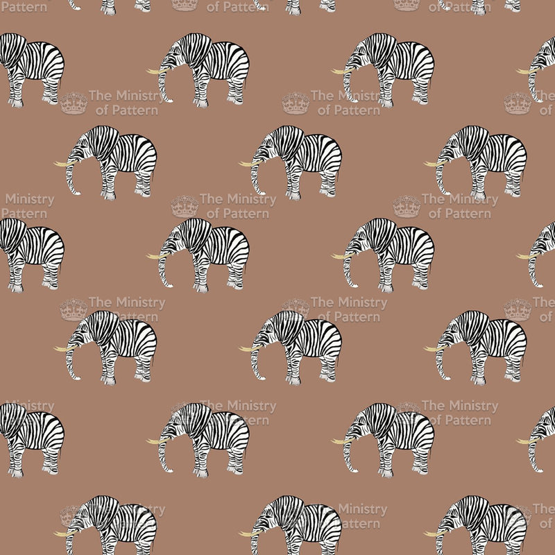 Elephant Zebra