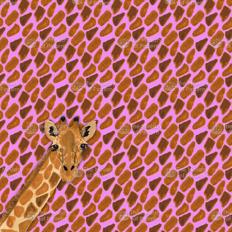 Giraffe Placement