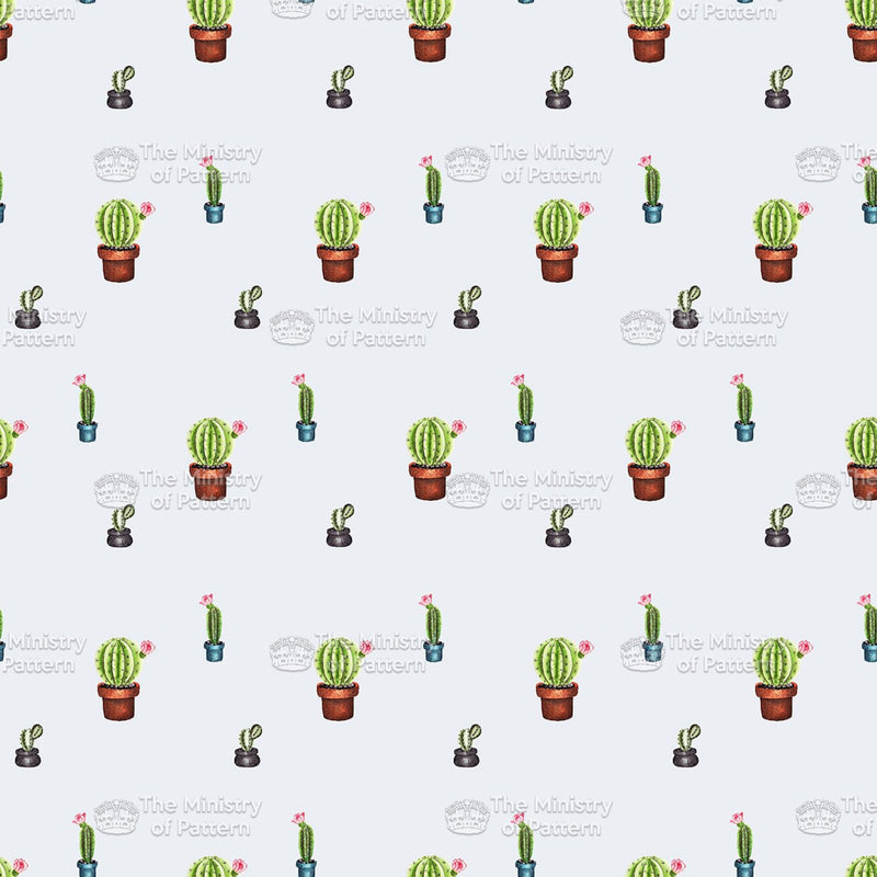 Cactus Conversational