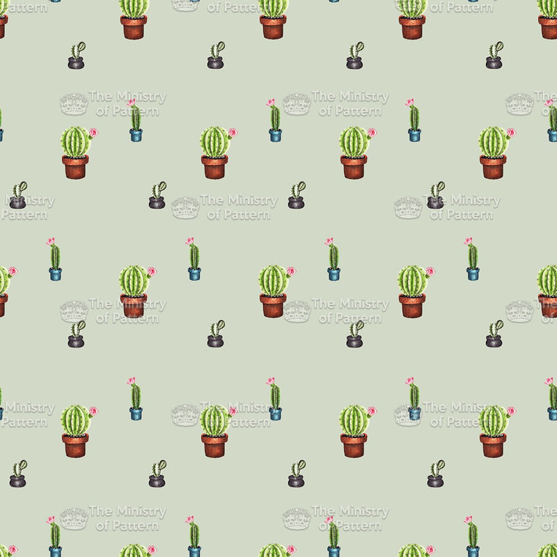 Cactus Conversational