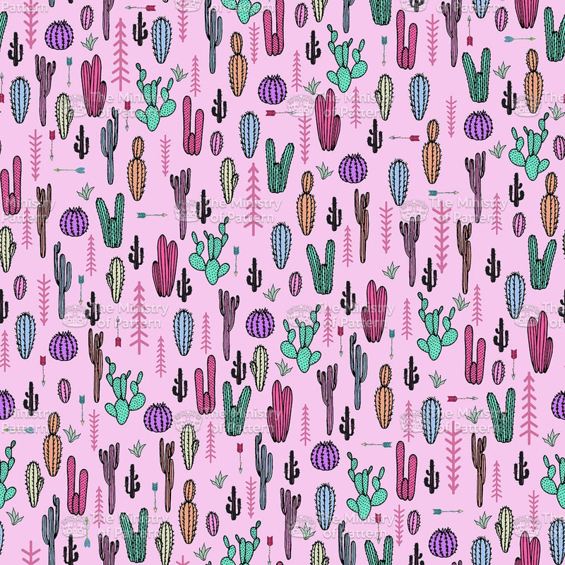 Multi Cactus Novelty