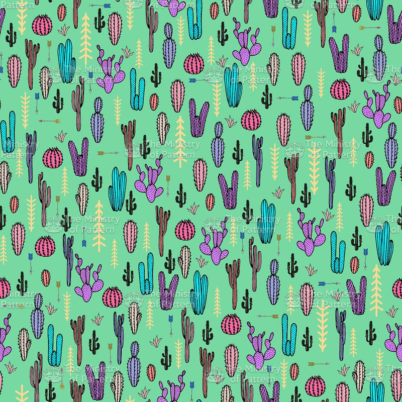 Multi Cactus Novelty