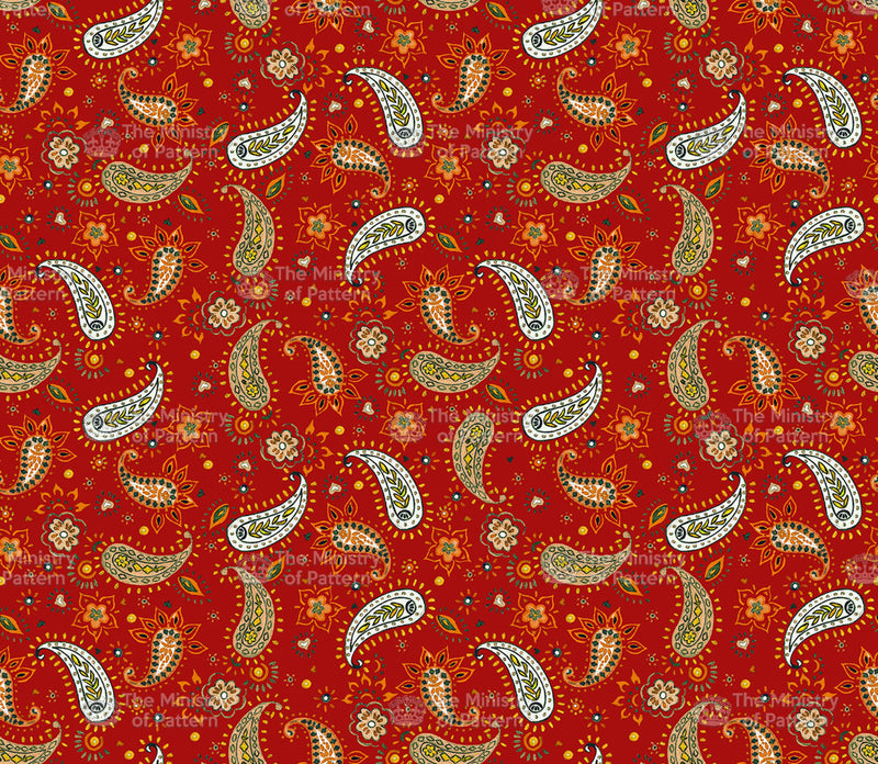Dashed Paisley