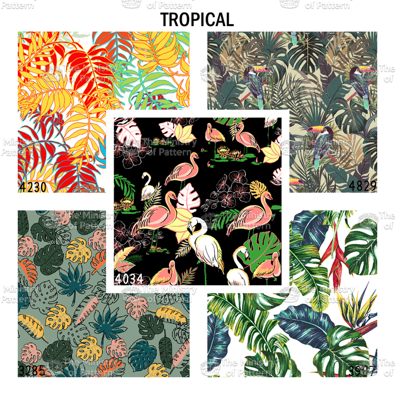 Premium Picks "Tropical"
