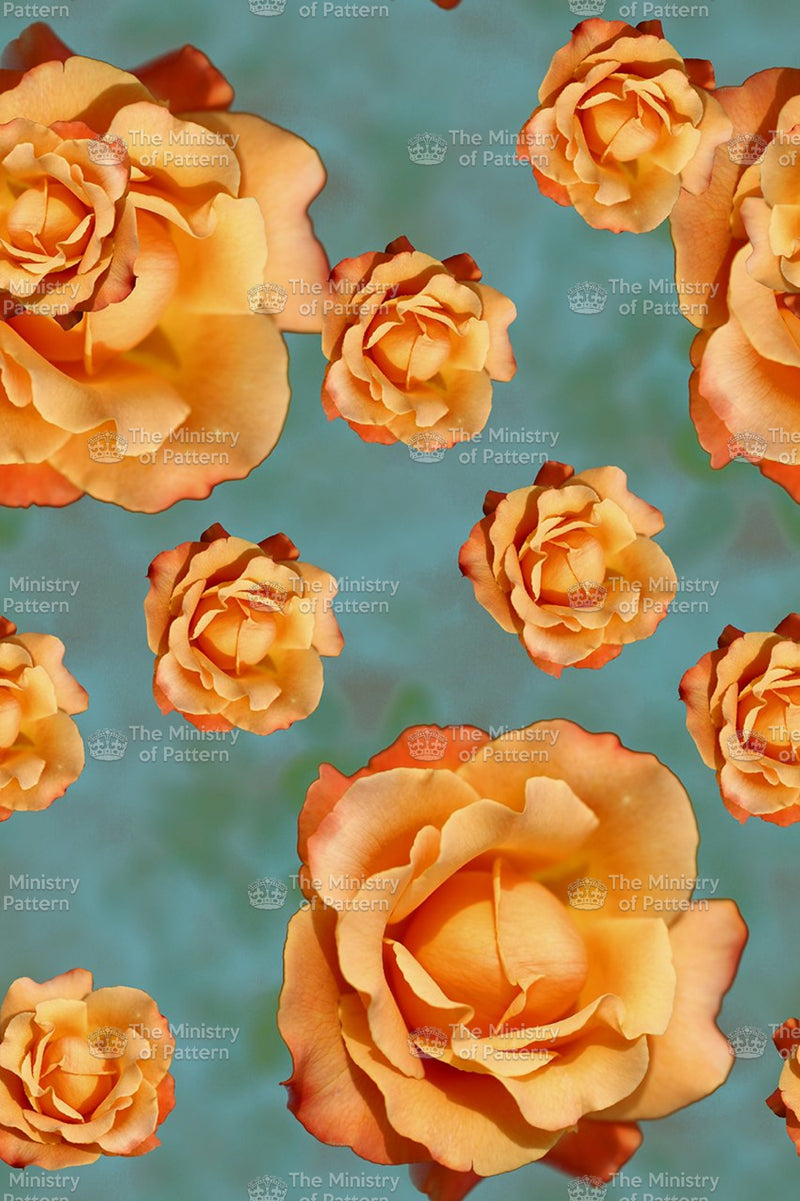 Photographic Roses