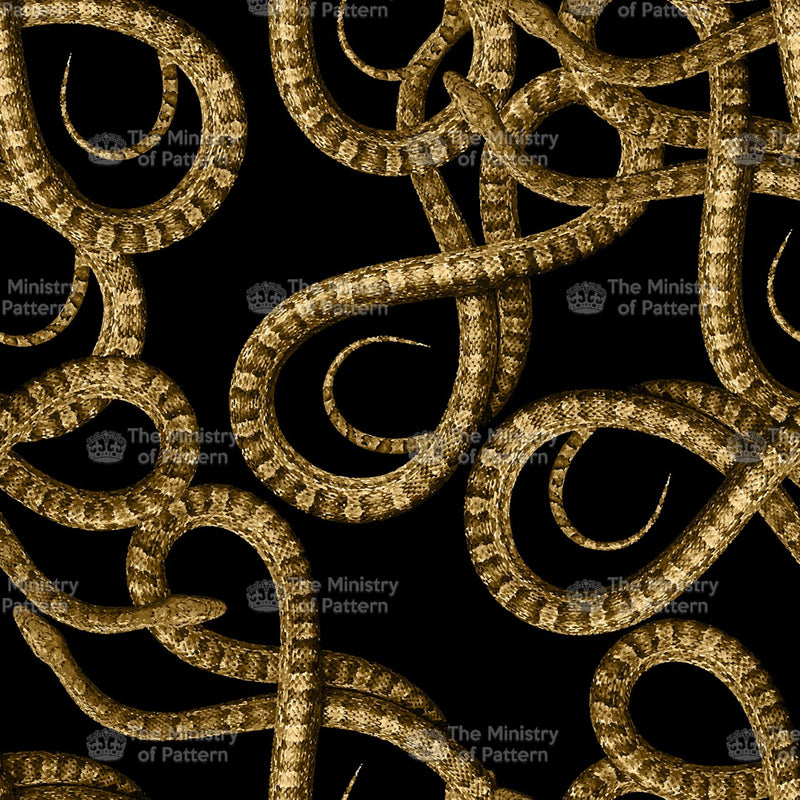 Snake Swirls