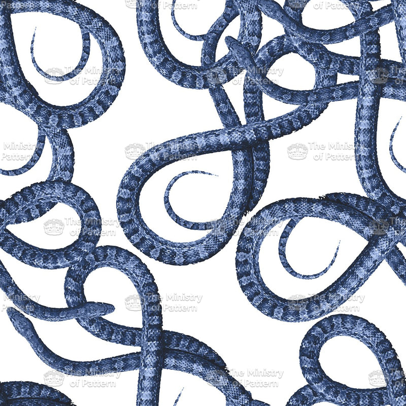 Snake Swirls