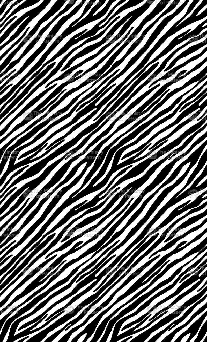 Graphic Zebra