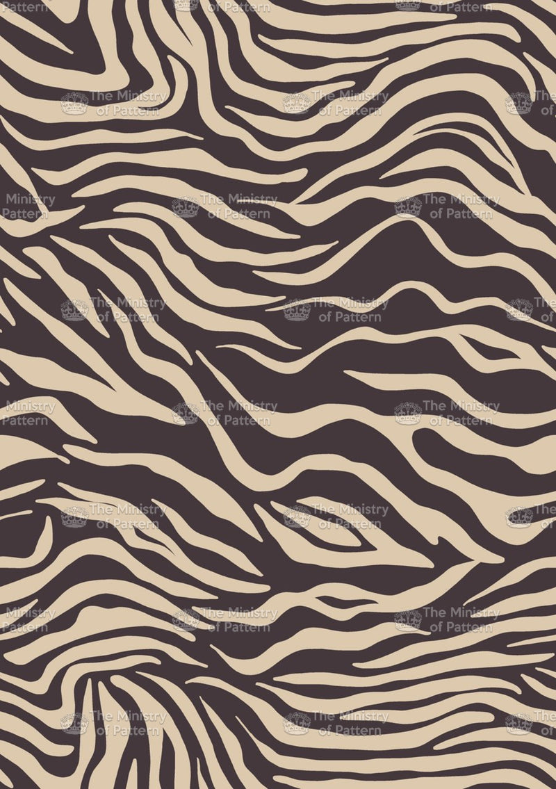 Graphic Zebra