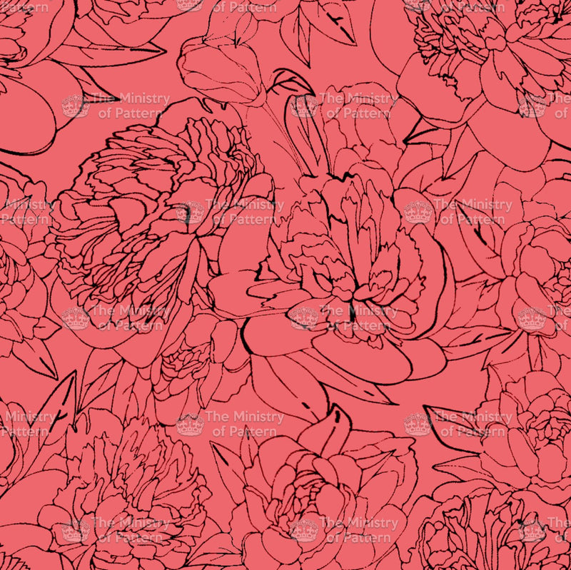Stylised Sketched Flowers