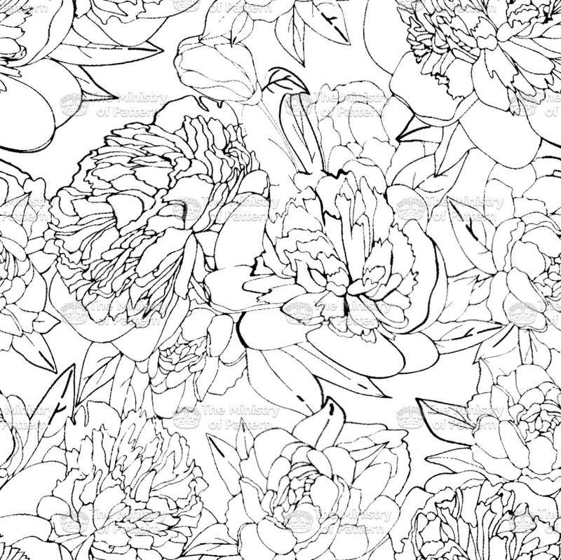 Stylised Sketched Flowers