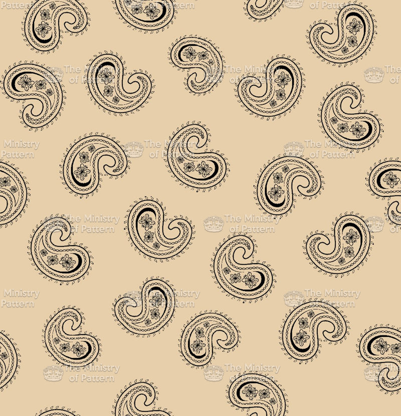Detailed Paisley