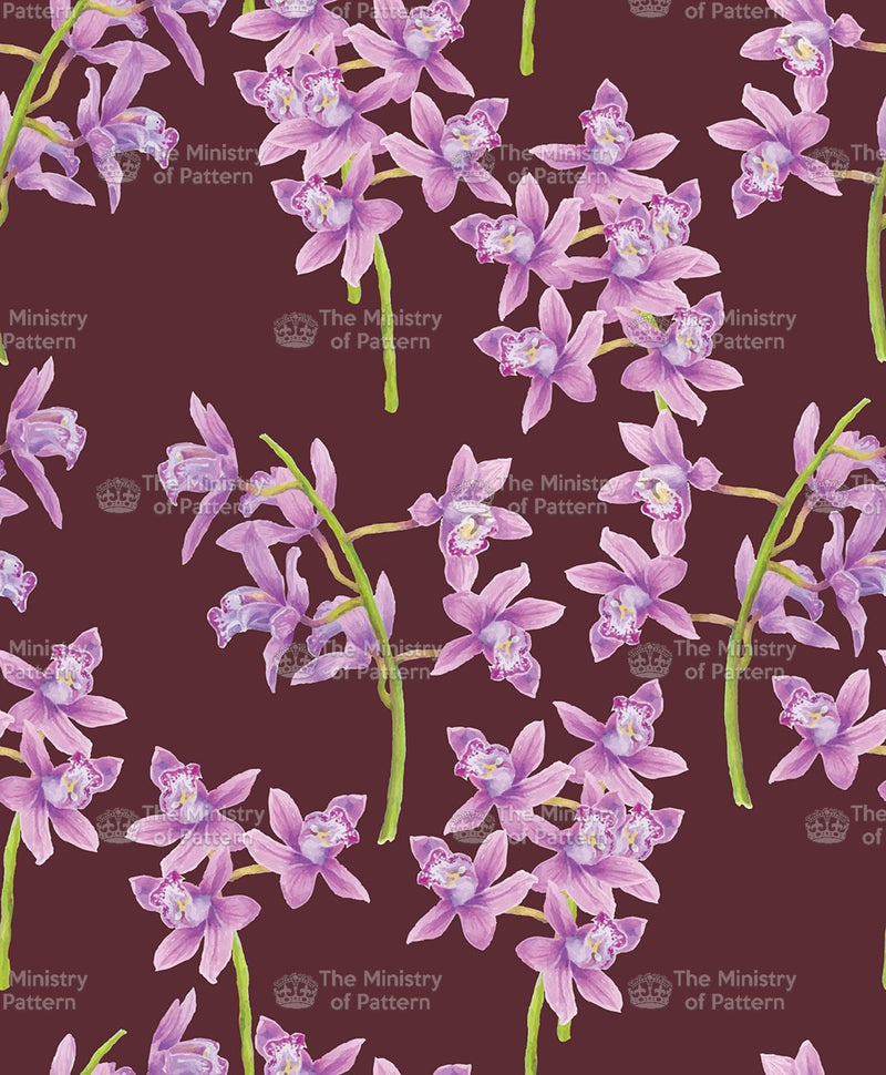 Photographic Orchids