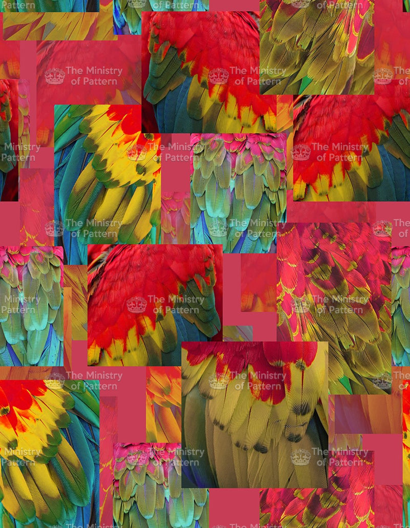 Photographic Parrot Feathers