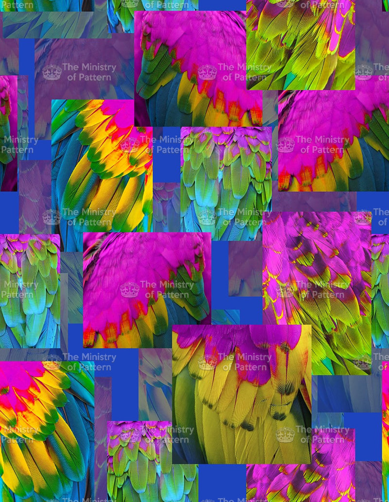 Photographic Parrot Feathers