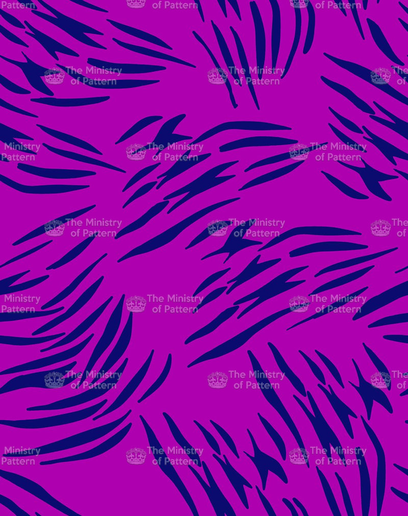 Spaced Zebra