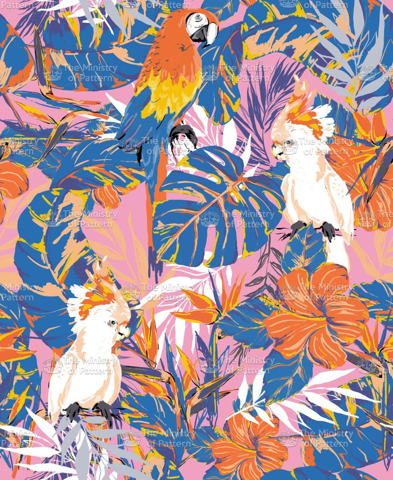 Birds of Paradise - The Ministry Of Pattern - Patternsforlicensing-textilestudio-printdesignstudio-trendinspiration-digitalprintdesign-exclusivepattern-printtrends-patternoftheweek